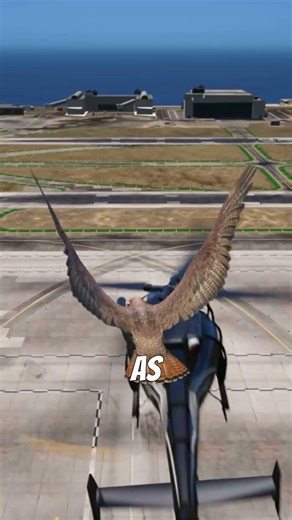 What Happens If a Eagle Hits a Train, Helicopter Blade, or Plane Engine in GTA 5?