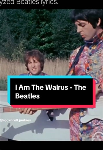 I Am The Walrus - The Beatles #thebeatles #johnlennon #paulmccartney #oldies #60s