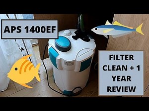 All Pond Solutions 1400EF Filter Clean & 1 Year Thoughts - Fluval Roma 200