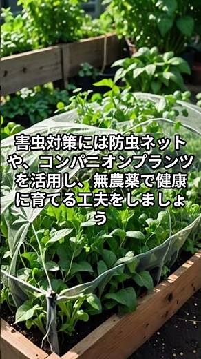家庭菜園で極上の小松菜を育てる秘訣！味と栄養を最大限に引き出す育成ガイド #自然菜園 #自然 #農業 #自然栽培