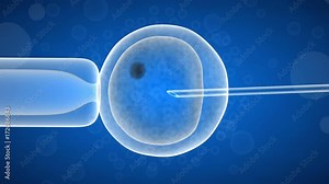 artificial insemination of a female egg. 3d render