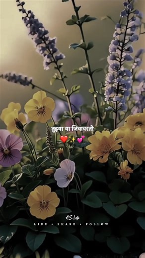 Yogesh Kanoja on Instagram: "Marathi song.....💕✨ . . . . . . . #marathilyricsstatus #marathisong #marathilove #marathilovestatus #marathifilm #marathilyrics #marathistatus #maharashtra #marathimotivational #reels #reelsvideo #reelsandfeels #reelitfeelit #instadaily #instareels #instagood #lovesong #lovestatus #loveislove #lyricedits #viralreels #explorepaget #trendingsong #trendingreels #trendingpage #marathi_status"