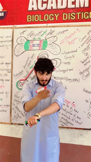 Understanding Bone Structure and Its Functions