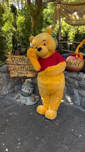 Good Morning from Winnie the Pooh ❤ #winniethepooh #disneycharacters | Chip and Company