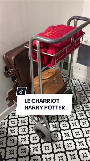 Idée farfelue ✅ #harrypottertiktok