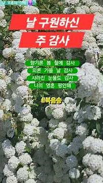 [복음송] 날 구원하신 주 감사