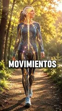 ¿Cómo funciona el sistema nervioso? | Así controla todo tu cuerpo
