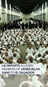 157K views · 4K reactions | A video released by the government of El Salvador shows 238 alleged members of a Venezuelan gang group deported from the US to El Salvador where they were taken to a high security prison. | TRT World | Facebook