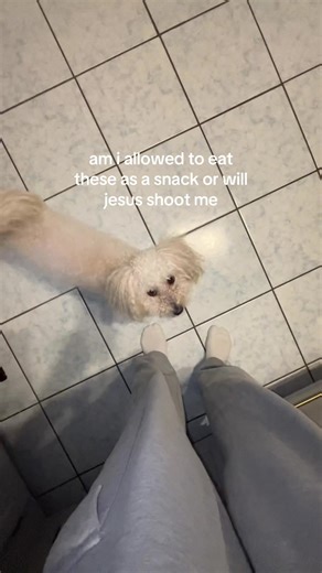 too late i just ate 3 see me in hell #kucios #lietuva | foods