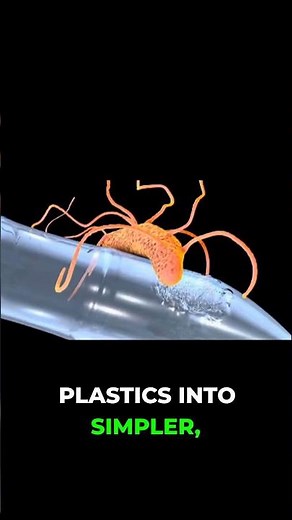 Plastic-Eating Bacteria: The Future of Waste? Discover Now!