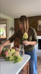 Panicle Hydrangeas, Limelight’s, Limelight Prime & Strawberry Vanilla #hydrangea