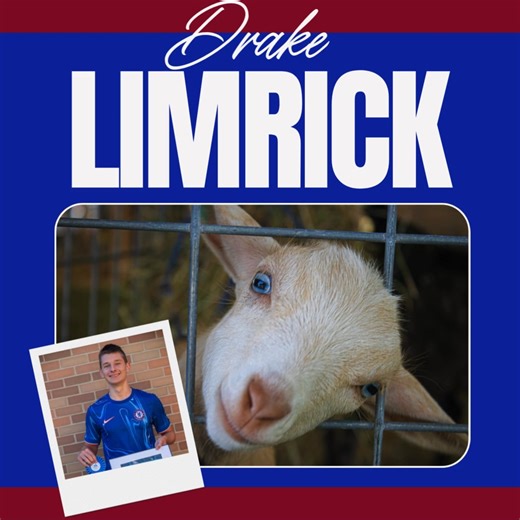 5.3K views · 84 reactions | Waterford Fair/Fort LeBoeuf High School...