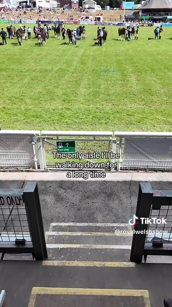 Exploring the Royal Welsh Show and Welsh Culture