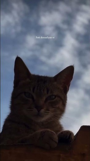 White Brown Black | Avvy Sra | Karan Aujla | Latest Punjabi Songs #itsguriji #shorts #karanaujla