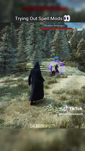 Exploring Spell Mods in Hogwarts Legacy