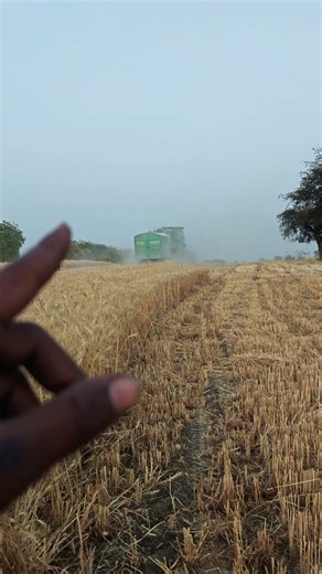 ट्राली में जाली कहां है🌾 #farmerstruggle #farming #farmingtraditions #agriculture #farmer #farmer