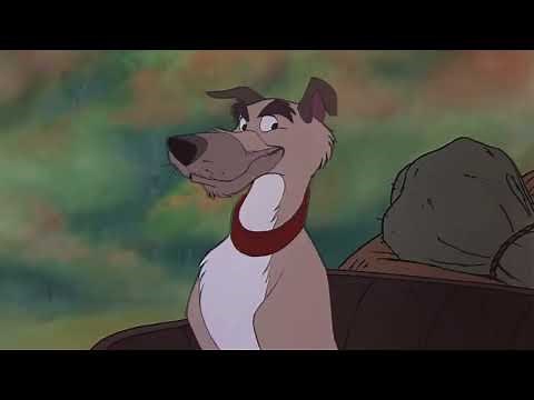 The Fox and the Hound Copper leaves to go hunting HD