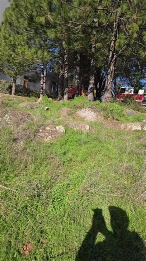 Moroni Lane structure fire. South County. | The Union