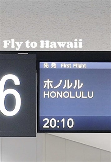 ANA ホヌに乗ってハワイに行ってきた🌺 フライトvlog #おすすめ #ハワイ #海外旅行 #vlog #旅の記録
