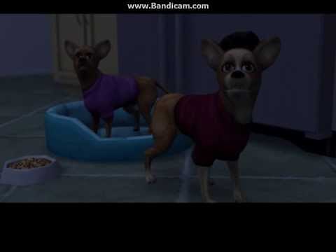 Over The Hedge Video Game: Walkthrough Part 27 - Conner House - Mission 25