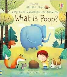 Very First Questions and Answers What is poop?: Daynes, Katie, Miguens, Marta Alvarez: 9781805317227: Amazon.com: Books