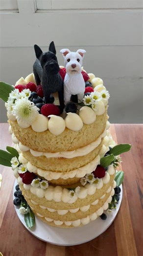 Are we kidding #bakery #dessert #2026wedding #utah #weddingcake | wedding cake