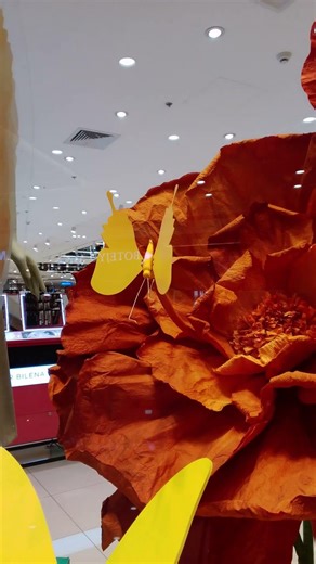 Butterfly #shorts #beautiful #asmr #amazing #subscribe