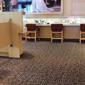 1K views · 90 reactions | The BIGGEST, floofiest, most lovable eligible bachelor on instagram IG: zammypup | Poodle Overload | Facebook