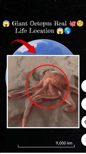 Sea octopus monster 🐙😱 on google maps and google earth 🌎 #shots #googleearth