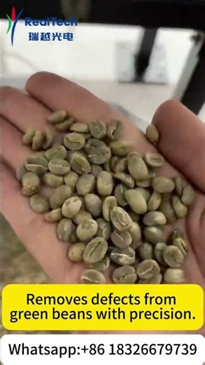 V360 Green Bean Coffee Sorter – Custom Colors Available | Free Sample Test