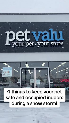 14K views · 32 reactions | Snowstorm? Snow problem! Keep your pets entertained indoors with fun interactive puzzles, treats, and most importantly, warm cuddles Shop the flyer or ask your Animal Care Experts for tips on indoor fun: https://www.petvalu.ca/flyer #SnowStorm #OntarioSnowstorm #JUMPtoys | Pet Valu | Facebook