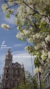 4K views · 84 reactions | The best time of the year✨☀️ #budapest #budapestcard #citycard #spring | Visit Budapest | Facebook