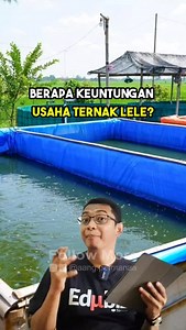 17K views · 3.5K reactions | ada yang tertarik usaha ternak lele? #aangpermana #sipetek #hpp #strategimarketing #tipsbisnis #umkm #bisnisdidesa #sipetekcrispyikan | Aang Permana | Facebook