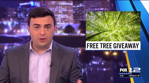 Giant pumpkin boat race brings fall fun to Tualatin