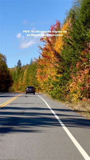 Le Parc national de la Mauricie en automne, c’est le tableau grandeur nature que tout voyageur rêve de voir au Québec ! 🍂 🤩 C’est incontestablement l’un des meilleurs endroits pour s’imprégner des paysages typiquement québécois. Dès l’entrée, la route panoramique qui traverse la forêt vous en met déjà plein la vue, surtout en octobre où les couleurs sont à leur apogée. Voici nos 5 arrêts incontournables : 1️⃣ Lac du Fou : spot réputé pour l’observation des orignaux 🦌 (même si nous n’en avons 