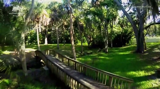 Piscinas Incríveis (Insane Pools) - 2ª Temporada - Episódio 1 - Uma Floresta Para Chamar de Sua