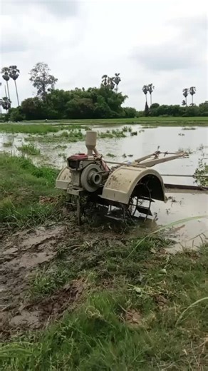 #ก้แค่ลูกชาวนา❤️💯