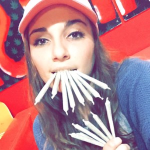 macdizzle420 - Twitch
