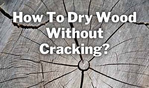 Dry Wood Without Cracking: 6 EASY Steps! [2023 Guide]