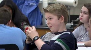 Innovation in Teaching: Unit Plans Innovation in Teaching: Unit Plans | Applying the Roll of Cells to the Real World