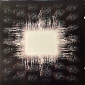 Tool - Ænima