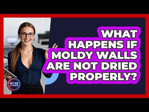 What Happens If Moldy Walls Are Not Dried Properly? - Get Rid Of Guide
