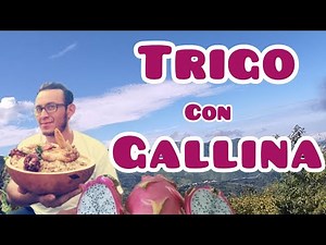 GUISO DE GALLINA CON TRIGO PLATO TÍPICO DE FRÍAS