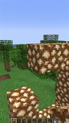 Minecraft but its Realistic