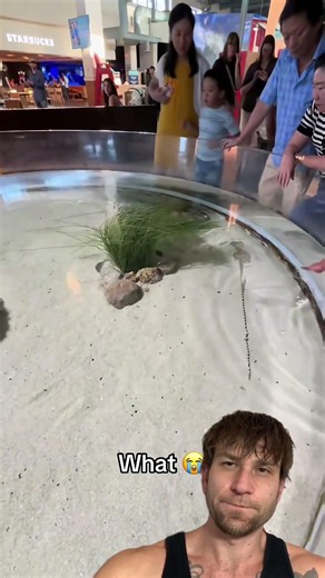 why is bro doing that ??