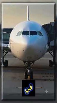 New Procedures at Cairo Airport in Egypt🇪🇬E-visas for Other Nationalities Wishing to Visit Egypt ...