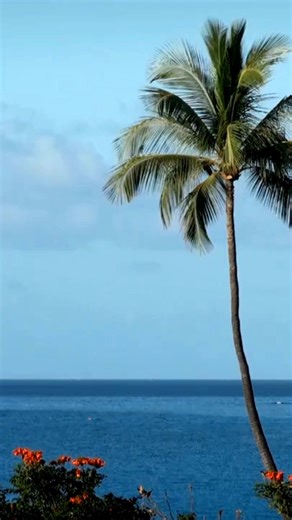 🌸 Your Maui escape starts with Funjet Vacations. Unlock up to $400 off your resort stay, $200 premium air credit, plus hotel discounts, free kids' stays, breakfast for two and more. 🌴 Contact a travel agent to start planning your vacation in paradise. | Travel Leaders