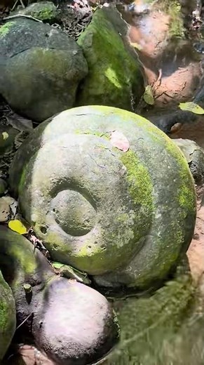 GEODA