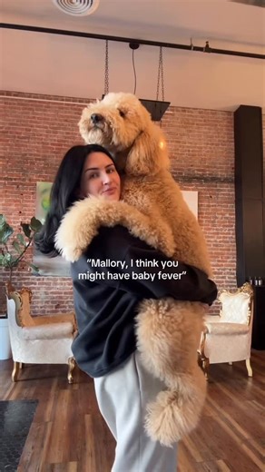 Mallory Brooks on Instagram: "Dog or human in a dog costume? 🫣"