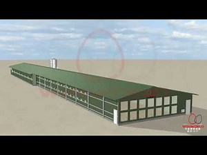 How to build one MODERN chicken house with ventilation system. Which can keep 100,000 chickens house